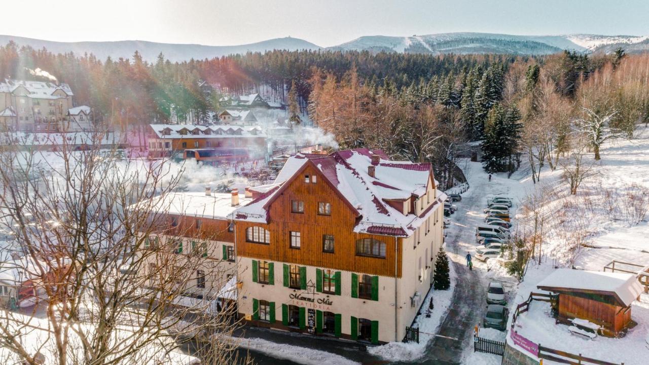Lesny Dwor Bed & Breakfast Karpacz Eksteriør bilde